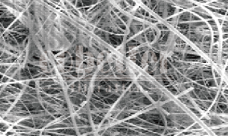 Glassfiber-cbt-SEM.png