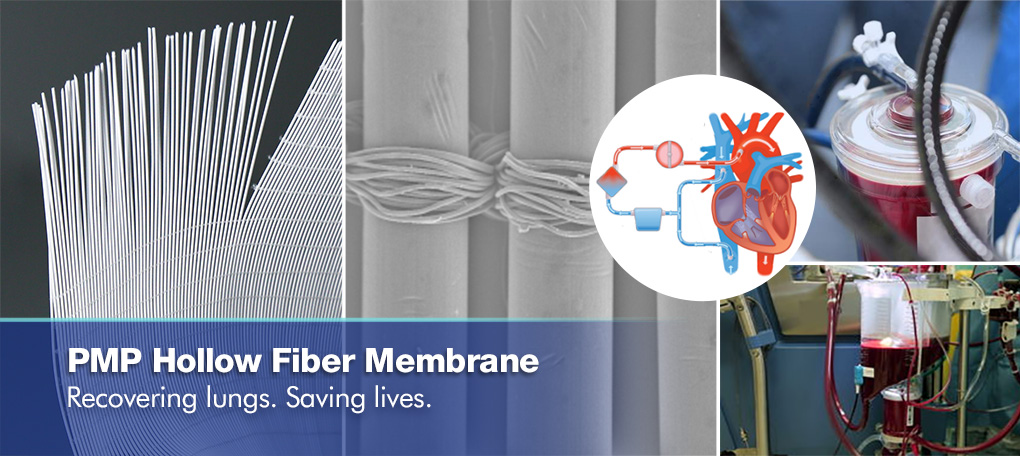 Hollow-Fiber-Membrane.jpg